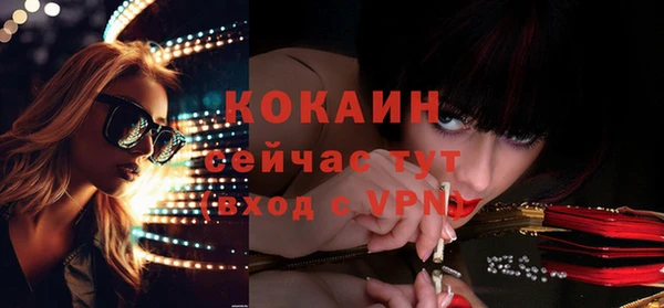 PSILOCYBIN Ладушкин