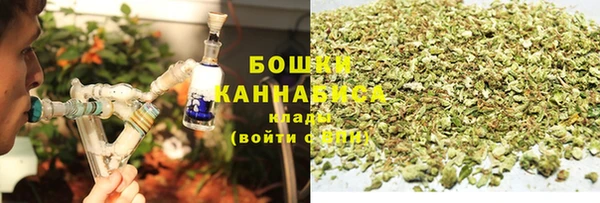 PSILOCYBIN Ладушкин
