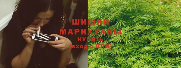 PSILOCYBIN Ладушкин