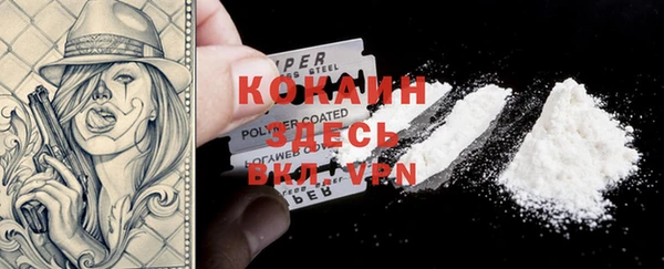 PSILOCYBIN Ладушкин